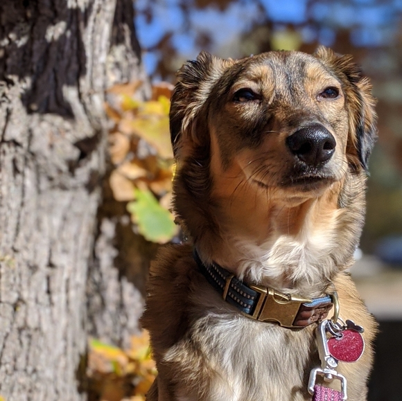 Meet your Posher, Marissa - Picture 4 of 4